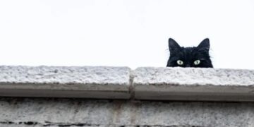 Παρασκευή και 13: Μύθοι και πραγματικότητα για τη σημερινή ημέρα