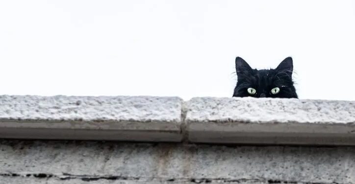 Παρασκευή και 13: Μύθοι και πραγματικότητα για τη σημερινή ημέρα