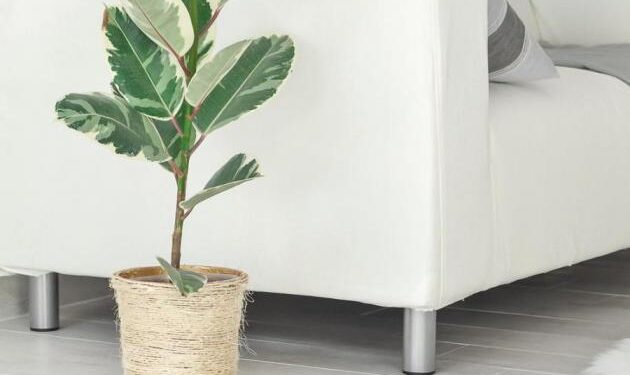 Do it yourself: Πώς να μετατρέψεις μια απλή γλάστρα σε μοντέρνα!