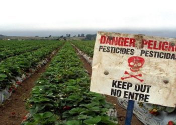 Αυτές είναι οι τροφές με τα περισσότερα φυτοφάρμακα