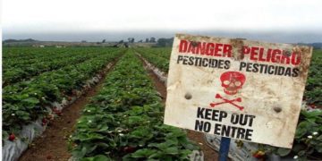 Αυτές είναι οι τροφές με τα περισσότερα φυτοφάρμακα