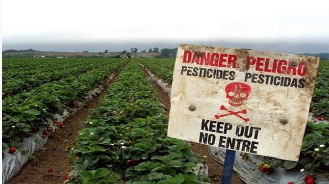 Αυτές είναι οι τροφές με τα περισσότερα φυτοφάρμακα