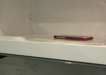 Δες τι θα συμβεί αν βάλεις το κινητό σου στον φούρνο μικροκυμάτων και το καλέσεις!![video]