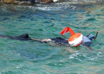 Alldaynews.gr Θρήνος στην Κρήτη: Νεκρός ο 22χρονος ψαροντουφεκάς