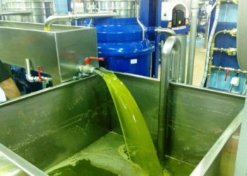 Δέκα τόνοι λαδιού έκαναν «φτερά»- Πώς κορόιδεψαν τον Αγροτικό Συνεταιρισμό