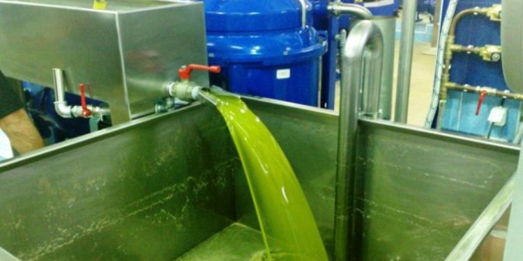 Alldaynews.gr Δέκα τόνοι λαδιού έκαναν «φτερά»- Πώς κορόιδεψαν τον Αγροτικό Συνεταιρισμό