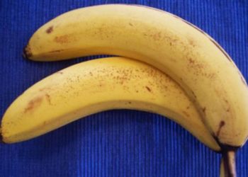 Είναι ΑΠΙΣΤΕΥΤΟ!!Άντρας που έχει 2 π…..[photos]