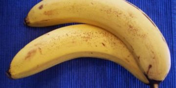 Είναι ΑΠΙΣΤΕΥΤΟ!!Άντρας που έχει 2 π…..[photos]