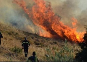 Alldaynews.gr ΚΑΙΓΟΝΤΑΙ οι Ερυθρές Αττικής! Η φωτιά πλησιάζει οικισμό