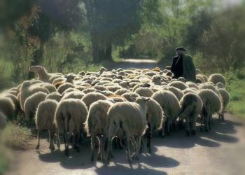 Alldaynews.gr ΠΟΙΟΣ Έλληνας ηθοποιός ήταν κουλουρτζής, λαχειοπώλης και τσοπάνος;;