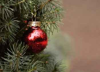 Μην το προσπεράσεις!! Πώς γίνεται επικίνδυνο ένα Χριστουγεννιάτικο Δέντρο