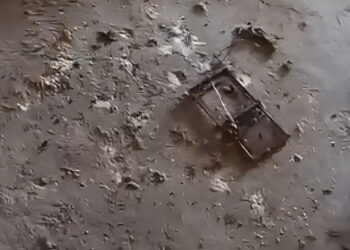 Έβαλαν παγίδα για ποντικό και έπαθαν ΣΟΚ όταν είδαν τι έπιασαν!! – Δείτε Φωτογραφία