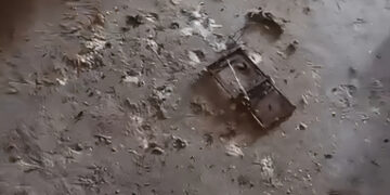 Alldaynews.gr Έβαλαν παγίδα για ποντικό και έπαθαν ΣΟΚ όταν είδαν τι έπιασαν!! – Δείτε Φωτογραφία