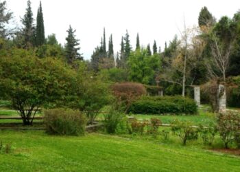 Αυτός ο παράδεισος είναι 8 χιλιόμετρα από το κέντρο της Αθήνας και ίσως δεν γνωρίζετε καν ότι υπάρχει![photos]