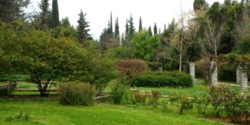 Αυτός ο παράδεισος είναι 8 χιλιόμετρα από το κέντρο της Αθήνας και ίσως δεν γνωρίζετε καν ότι υπάρχει![photos]