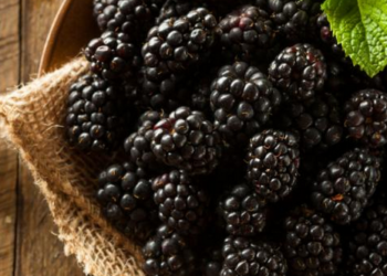 Γιατί οι γυναίκες είναι απαραίτητο να τρώνε μούρα