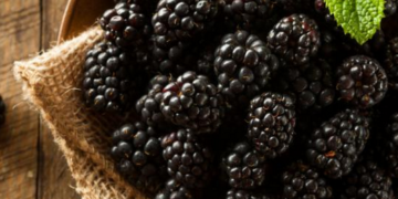 Γιατί οι γυναίκες είναι απαραίτητο να τρώνε μούρα