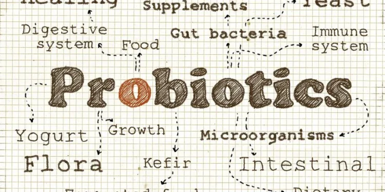 Alldaynews.gr Προβιοτικά: Γιατί είναι πολύτιμα για τον οργανισμό