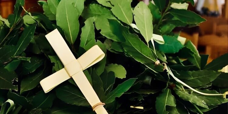 Κυριακή των Βαΐων: Γνωρίζετε γιατί τρώμε ψάρι;