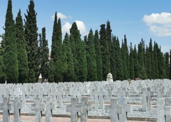 Εσύ το ήξερες; Δες για ποιο λόγο φυτεύουν κυπαρίσσια στα νεκροταφεία!