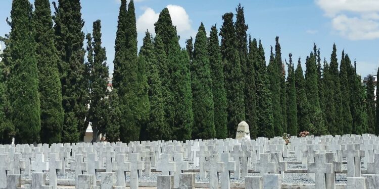 Εσύ το ήξερες; Δες για ποιο λόγο φυτεύουν κυπαρίσσια στα νεκροταφεία!