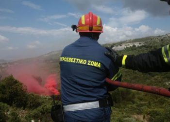 Alldaynews.gr Φωτιά στην Πεντέλη – Ιδιοκτήτης έριξε πετρέλαιο σε πεύκο