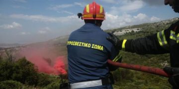 Alldaynews.gr Φωτιά στην Πεντέλη – Ιδιοκτήτης έριξε πετρέλαιο σε πεύκο