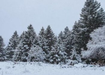 Ραγδαία επιδείνωση του καιρού από την Πέμπτη με τσουχτερό κρύο και χιόνια – Ποιες περιοχές θα «ντυθούν» στα λευκά