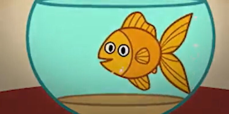 Τα χρυσόψαρα πονούν και υποφέρουν μέσα στη γυάλα