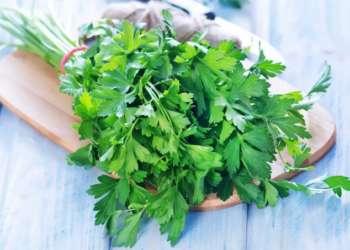 Το ελληνικό βότανο που προστατεύει από καρκίνο και διαβήτη