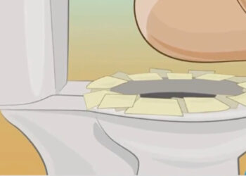 Βάζετε χαρτί υγείας στη λεκάνη σε δημόσιες τουαλέτες; – Μετά απ’ αυτό το βίντεο δε θα ξαναβάλετε!