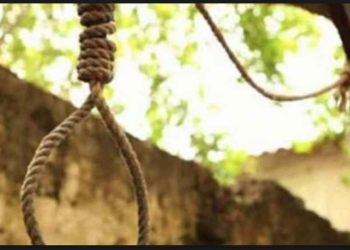 Άνδρας βρέθηκε κρεμασμένος σε δέντρο στην Αρχαία Ολυμπία