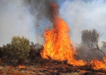 Alldaynews.gr Ασύλληπτη τραγωδία: Νεκρά 4 παιδιά από πυρκαγιά σε κατασκήνωση (vids, pics)