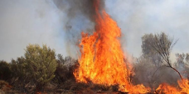 Alldaynews.gr Ασύλληπτη τραγωδία: Νεκρά 4 παιδιά από πυρκαγιά σε κατασκήνωση (vids, pics)