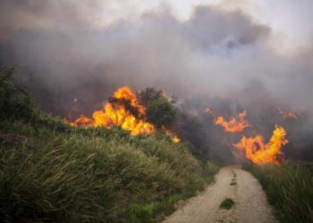 Alldaynews.gr Άσχημα νέα: Εκτός ελέγχου η πυρκαγιά στον Κιθαιρώνα – Ενισχύθηκαν οι δυνάμεις της πυροσβεστικής