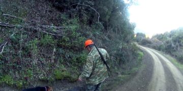 Alldaynews.gr Τραγωδία στο κυνήγι: Πέρασε τον πατέρα του για αγριογούρουνο και τον σκότωσε