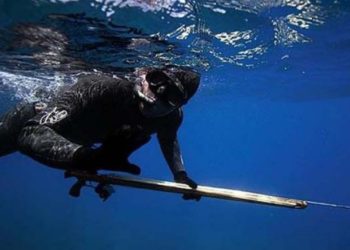 Δείτε τη μεγαλύτερη τσιπούρα που έχει πιαστεί ποτέ στην Ελλάδα [photo]