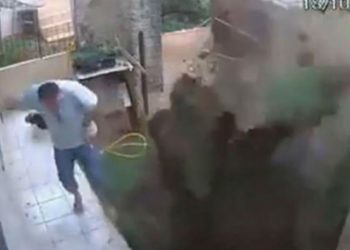 Προσπάθησε να βάλει φωτιά στην φωλιά των κατσαρίδων, αλλά τελικά ανατίναξε τον κήπο του (vid)