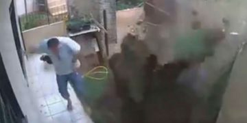 Alldaynews.gr Προσπάθησε να βάλει φωτιά στην φωλιά των κατσαρίδων, αλλά τελικά ανατίναξε τον κήπο του (vid)