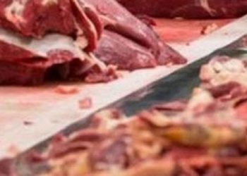 Ούτε 100: Πάνω από 70 κιλά ληγμένα κρέατα σε κατάστημα του Πειραιά