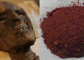 ΤΟ ΗΞΕΡΕΣ; 10 προϊόντα που φτιάχνονται από…ανθρώπινα μέλη!