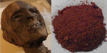 Alldaynews.gr ΤΟ ΗΞΕΡΕΣ; 10 προϊόντα που φτιάχνονται από…ανθρώπινα μέλη!