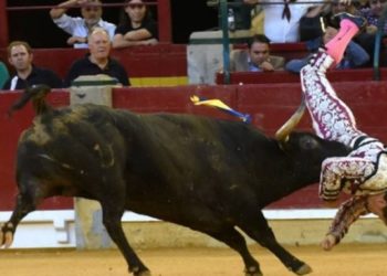 Τον Ξέσκισε ο Ταύρος! Ο ταυρομάχος υπέστη τρεις καρδιακές προσβολές[Σκληρές Εικόνες]