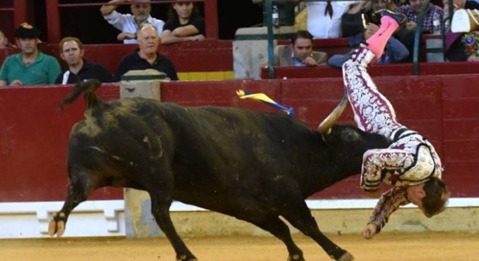 Τον Ξέσκισε ο Ταύρος! Ο ταυρομάχος υπέστη τρεις καρδιακές προσβολές[Σκληρές Εικόνες]