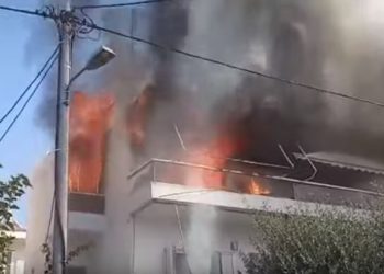 Παπάγου: Ρίσκαρε τη ζωή του για να σώσει το σκύλο του[video]