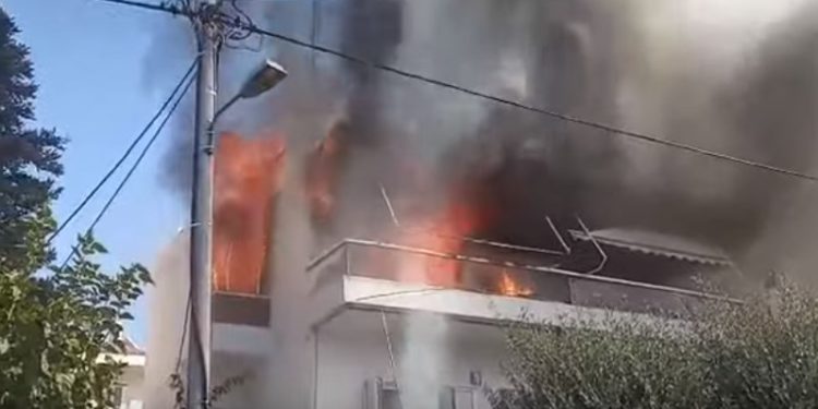 Παπάγου: Ρίσκαρε τη ζωή του για να σώσει το σκύλο του[video]