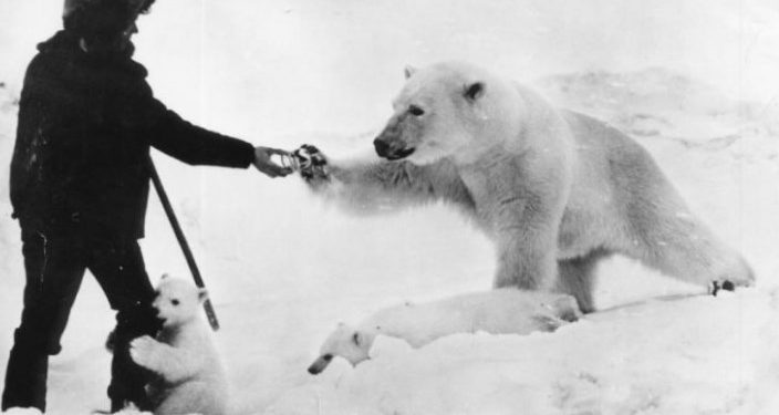 Alldaynews.gr Ο άνδρας ταΐζει την πολική αρκούδα ενώ το μικρό της τον αγκαλιάζει με τρυφερότητα-Η συγκινητική περιπέτεια της «Μαρίας Μιχαήλοβα» και της «Μάσα»