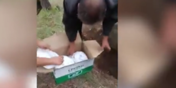 Alldaynews.gr Έθαψαν βρέφος ζωντανό σε χαρτόκουτα – Το ξέθαψαν έκπληκτοι περαστικοί (Video)