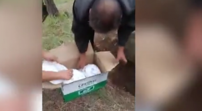 Alldaynews.gr Έθαψαν βρέφος ζωντανό σε χαρτόκουτα – Το ξέθαψαν έκπληκτοι περαστικοί (Video)