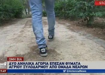 Συγκλονίζει η μητέρα του μαθητή που έπεσε θύμα ξυλοδαρμού στο Αιγάλεω (video)